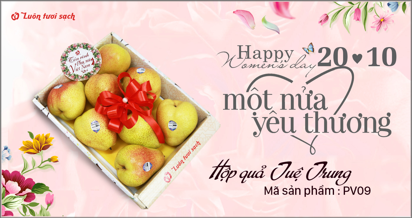 Hộp quà Tuệ Trung PV09