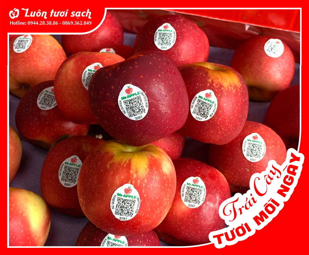 Táo Queen NZ sz 70-80