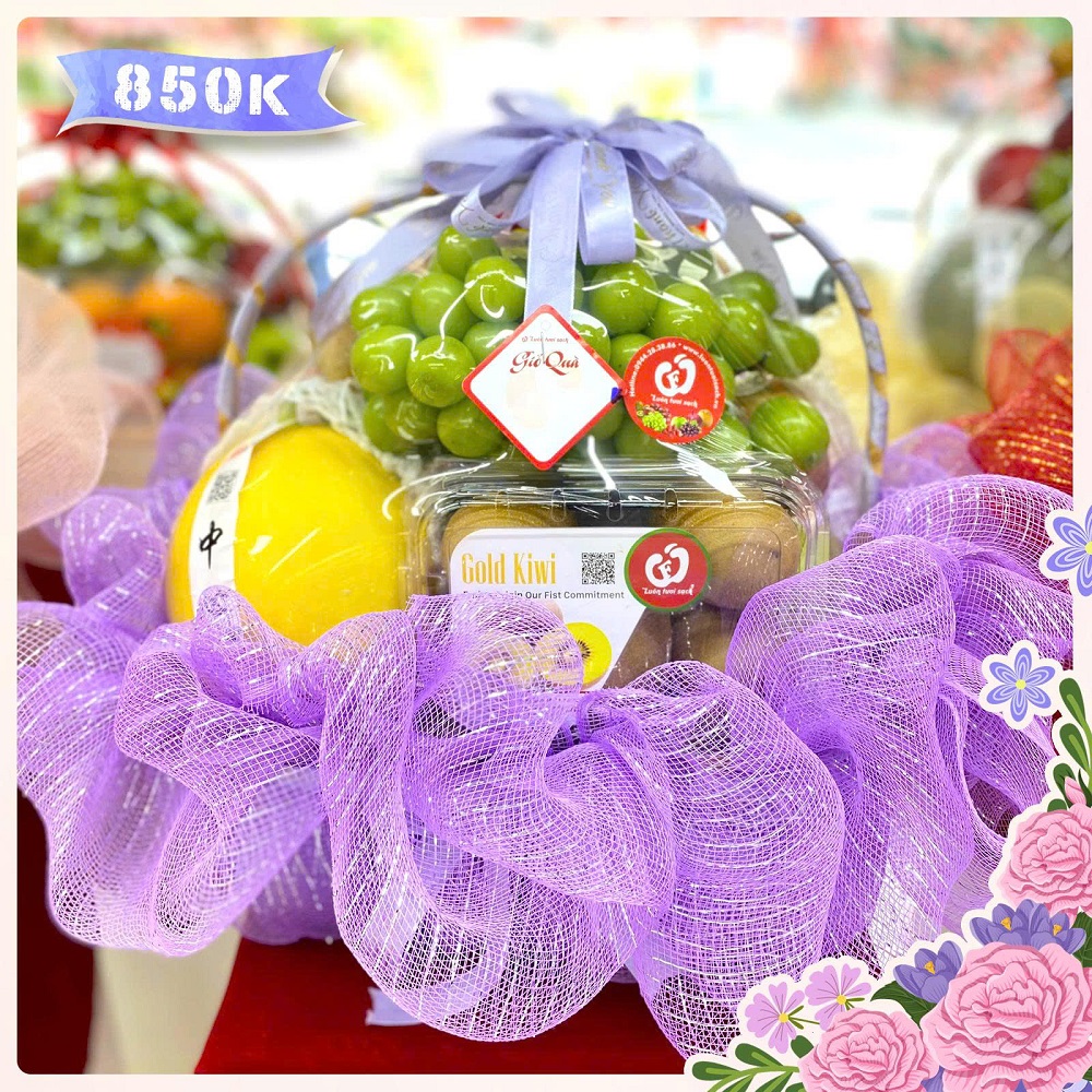 TC24 - Giỏ quà hoa quả nhập khẩu