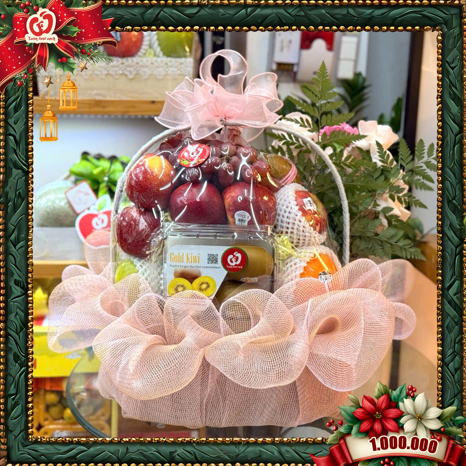 TC33 - Giỏ quà hoa quả nhập khẩu