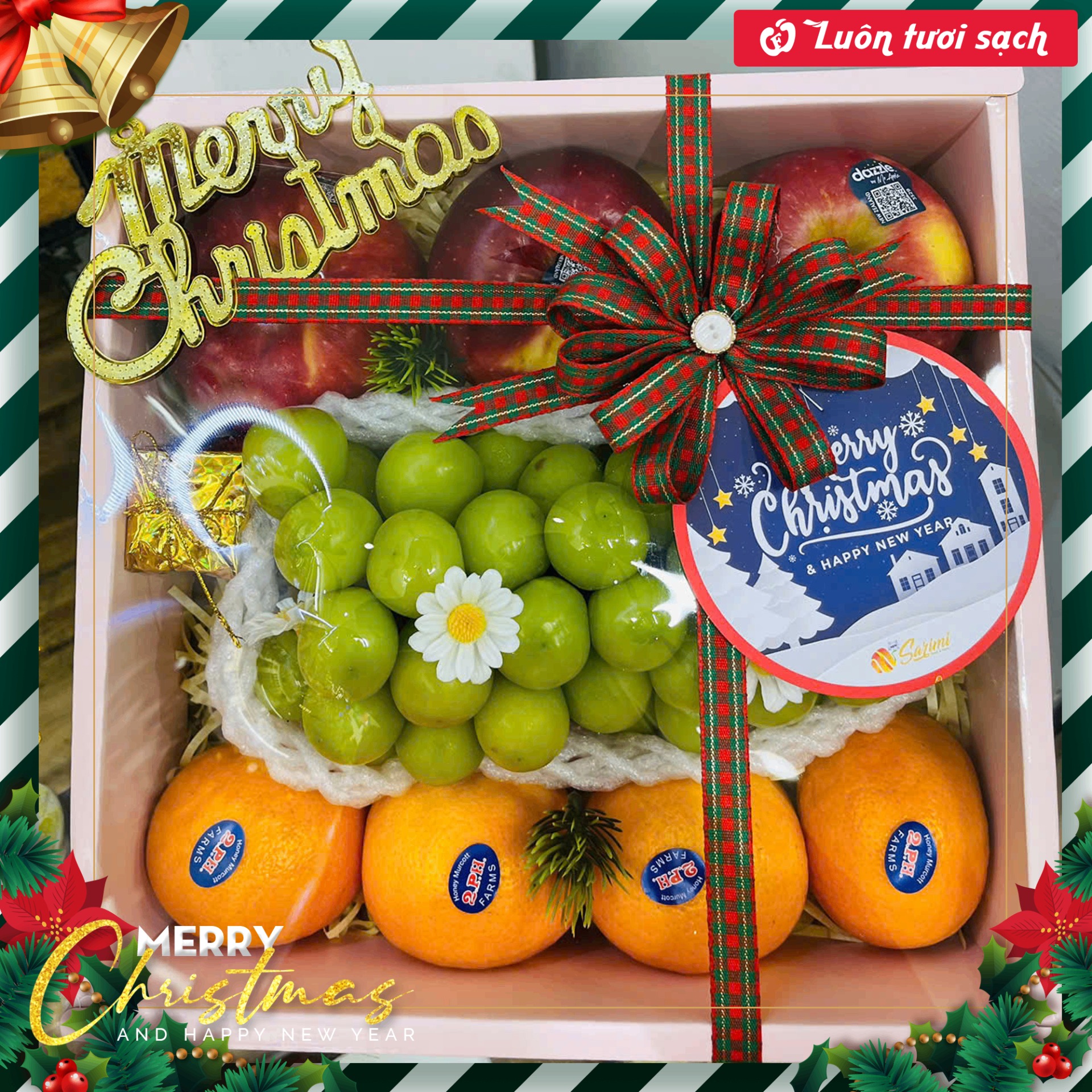 TC15 -  Hộp quà hoa quả nhập khẩu