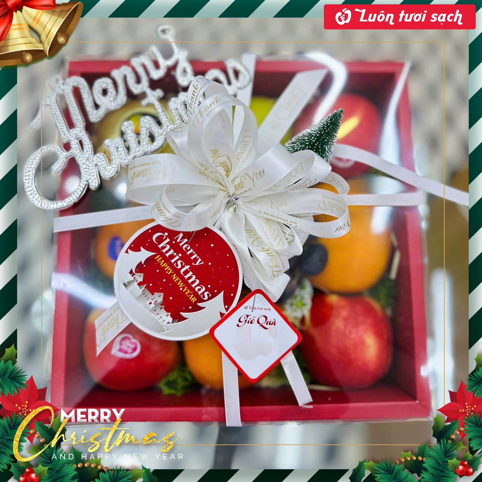 TC65 - Hộp quà hoa quả nhập khẩu