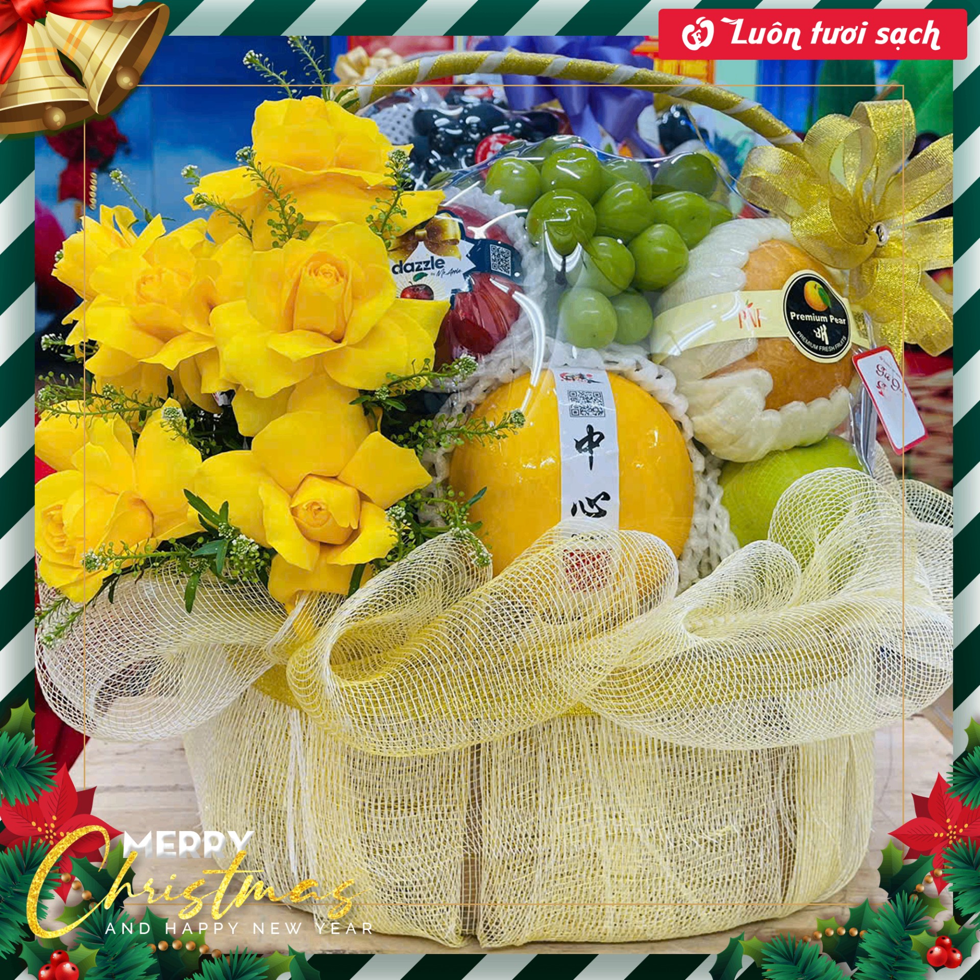 TC21 - Giỏ quà hoa quả nhập khẩu
