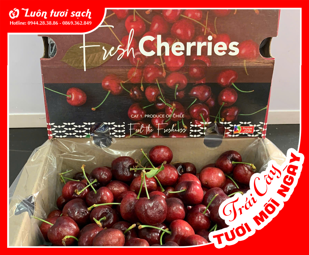 Hộp Cherry Fresh Chile 2.5kg